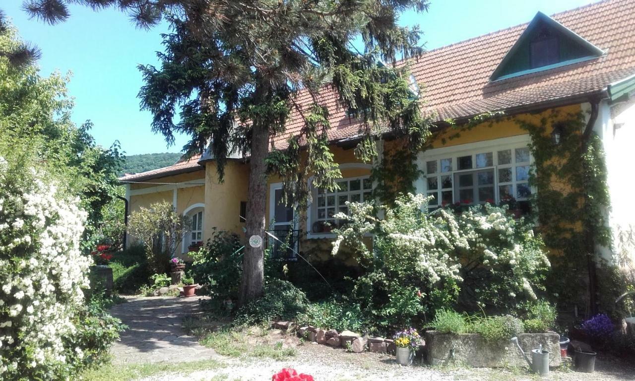Villa-Magdi Vendeghaz Ревфюлёп Экстерьер фото