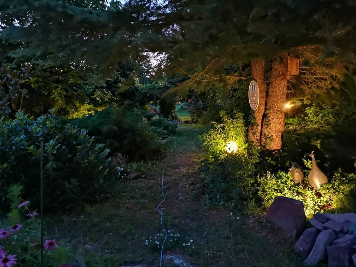Villa-Magdi Vendeghaz Ревфюлёп Экстерьер фото