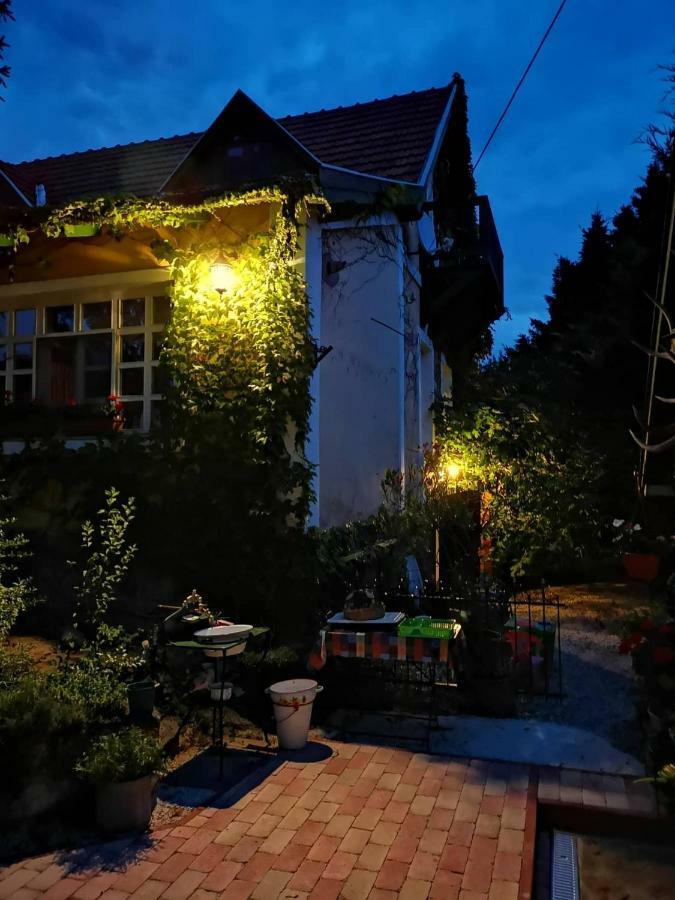 Villa-Magdi Vendeghaz Ревфюлёп Экстерьер фото